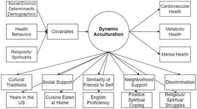 Profiles of cardiometabolic risk and acculturation indicators among South Asians in the US: latent class analysis of the MASALA study